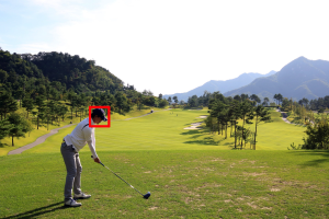 Golfer with pinpoint area of interest